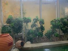 -仁爱团泊湖温泉中心