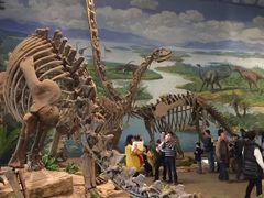 -自贡恐龙博物馆