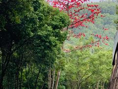 -梅州雁山湖国际花园度假区