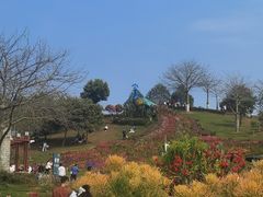 -东莞植物园