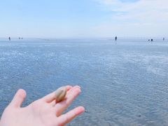 -南汇嘴观海公园