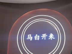 -马白开来特色羊排揪片子  (总店)