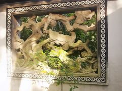 -秋霞圃