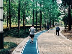 -苏州河梦清园环保主题公园