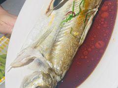 -醉庐·新上海菜(南京西路店)