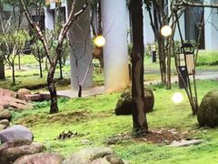 -黄山轩辕国际大酒店