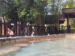 -崇阳三特浪口温泉