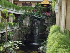 -广州白天鹅宾馆