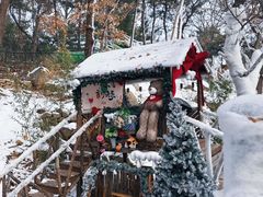 -沂蒙山旅游区云蒙景区(蒙山国家森林公园)