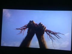 -上影国际影城(普陀绿地缤纷城店)