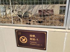 -赵天禄(葑门横街店)