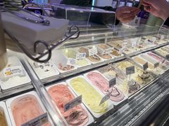 -Dooley's Premium Ice Cream