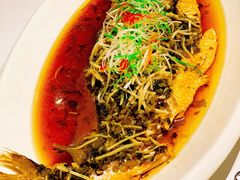 -西郊5号·Maggie 5