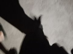 -浙江越秀外国语学院