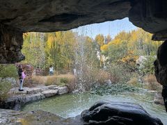 -燕郊植物园