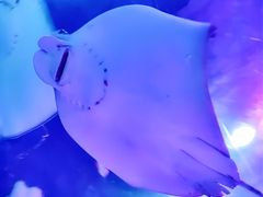 -沈阳海洋探索中心