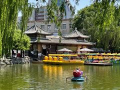 -团结湖公园