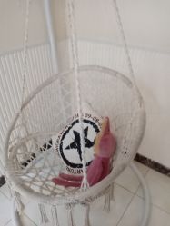 -克丽缇娜