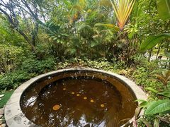 -碧桂园润杨溪谷温泉酒店