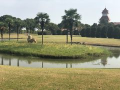 -旭宝高尔夫俱乐部