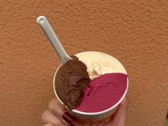 -Dip in Gelato(富民路店)