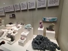 -天津自然博物馆