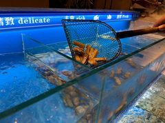 -太湖饭店玉兰厅(自助餐厅)