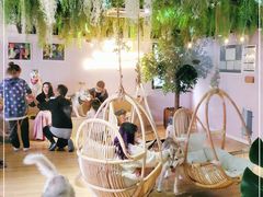 -Husky Go! 哈士奇体验馆·宠物咖啡厅狗咖