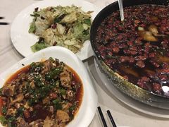 沸腾鱼-南波万
