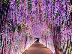 -霸王河欢乐世界