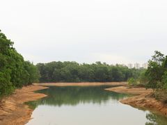 -聚龙山公园