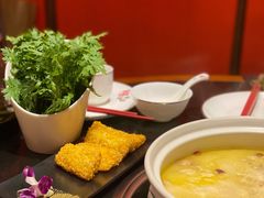 皇帝菜-禧鳳記·猪肚鸡火锅(玖洲道店)