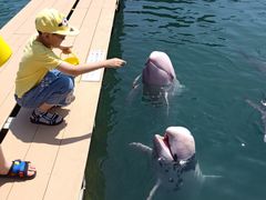-南紀白浜 浜千鳥の湯 海舟