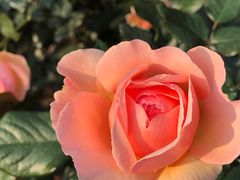 -人民公园(罗湖区)