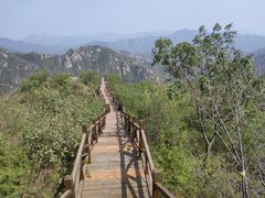 -大岭沟猕猴桃谷风景区