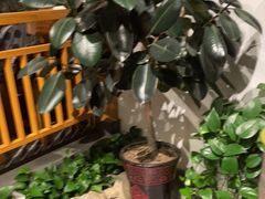 -雪熊哈尔滨烧烤·精酿啤酒·砂锅(中央胜境店)