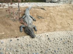 -石家庄市动物园