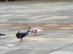 -老味道1992(武当山店)