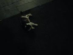 -人民公园-相亲角