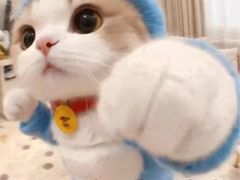 -超级猩猩健身·团课(国贸店)