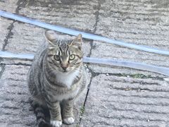 -曾福兴