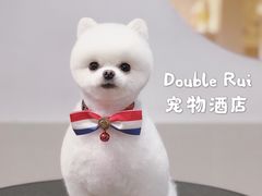 -Double Rui宠物酒店
