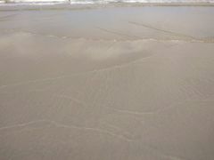 -西涌国际滨海旅游区