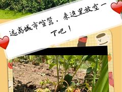 -前小桔亲子创意农场·草莓采摘·露营烧烤