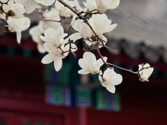 -宣南文化博物馆
