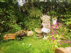 -呼吸森林·生态农庄农家乐私房菜