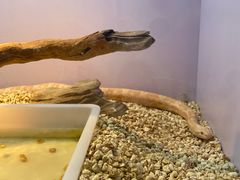 -昆明大悦城未来动物城(螺蛳湾中心店)