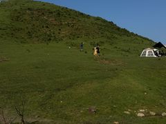 -大姆山草场