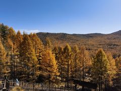 -莫尔道嘎国家森林公园