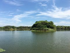 -上海市保健医疗中心(华东疗养院)